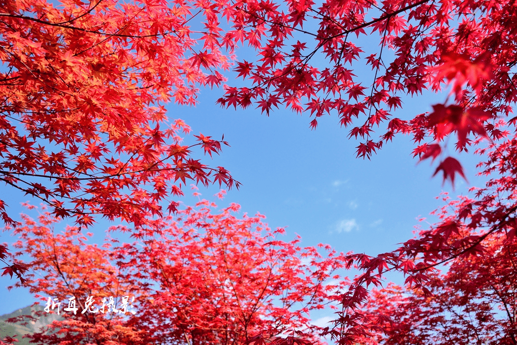 石羊镇|在都江堰过年 | 避开拥堵，来一场沉浸式乡村游！