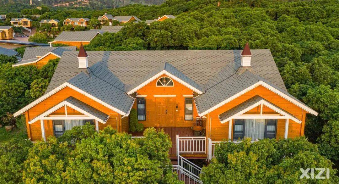 丹凤_互动_主题