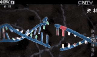 成果堪称“诺奖”一夜成名却无法复现的韩春雨，再发高分文章