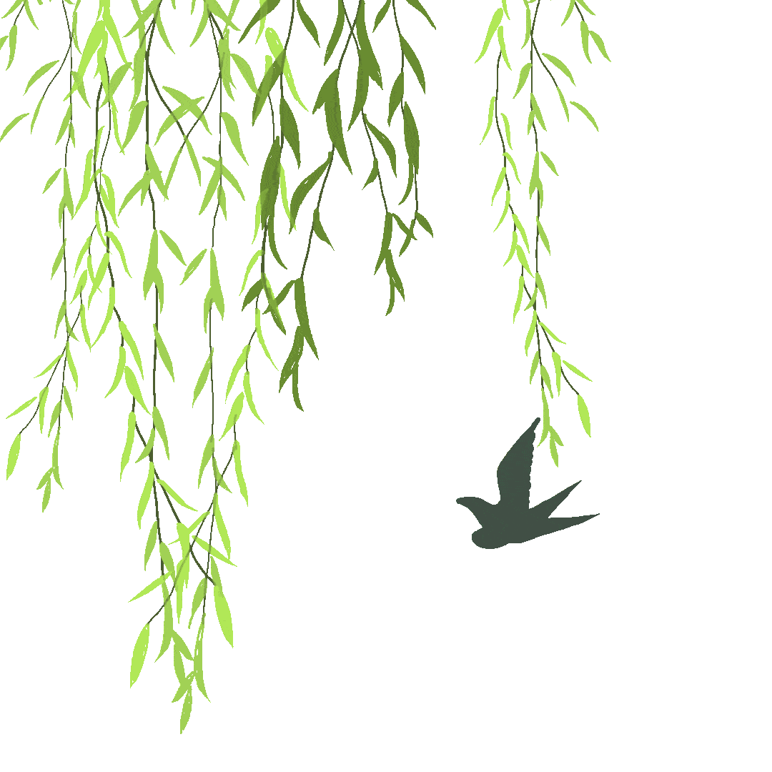 1080_1080gif 动态图 动图