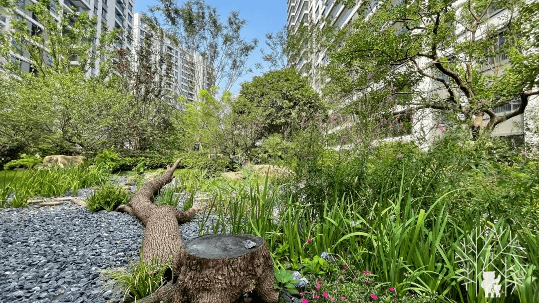 丛林之下萤来美好2021江苏旭辉社区海绵实践分享