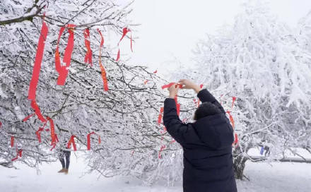 地缝|冬奥逢春！快抓住春节假期“余额”，去武隆仙女山耍雪过新春！