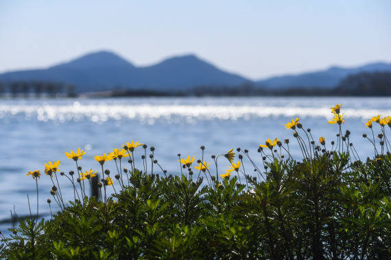 季节|今日立春|乍暖还寒时，万物始复苏