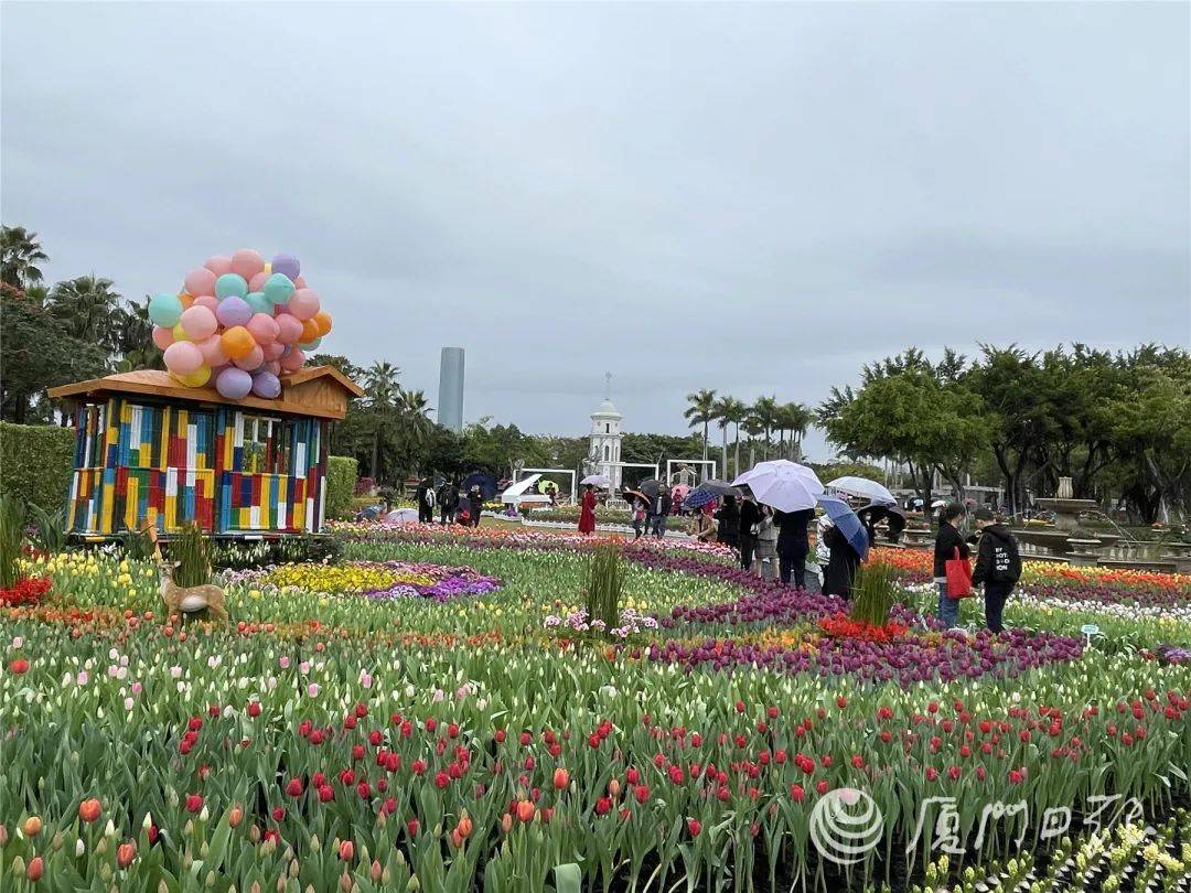 步道|今日立春，雨停了！快出门玩耍吧，攻略已备好→