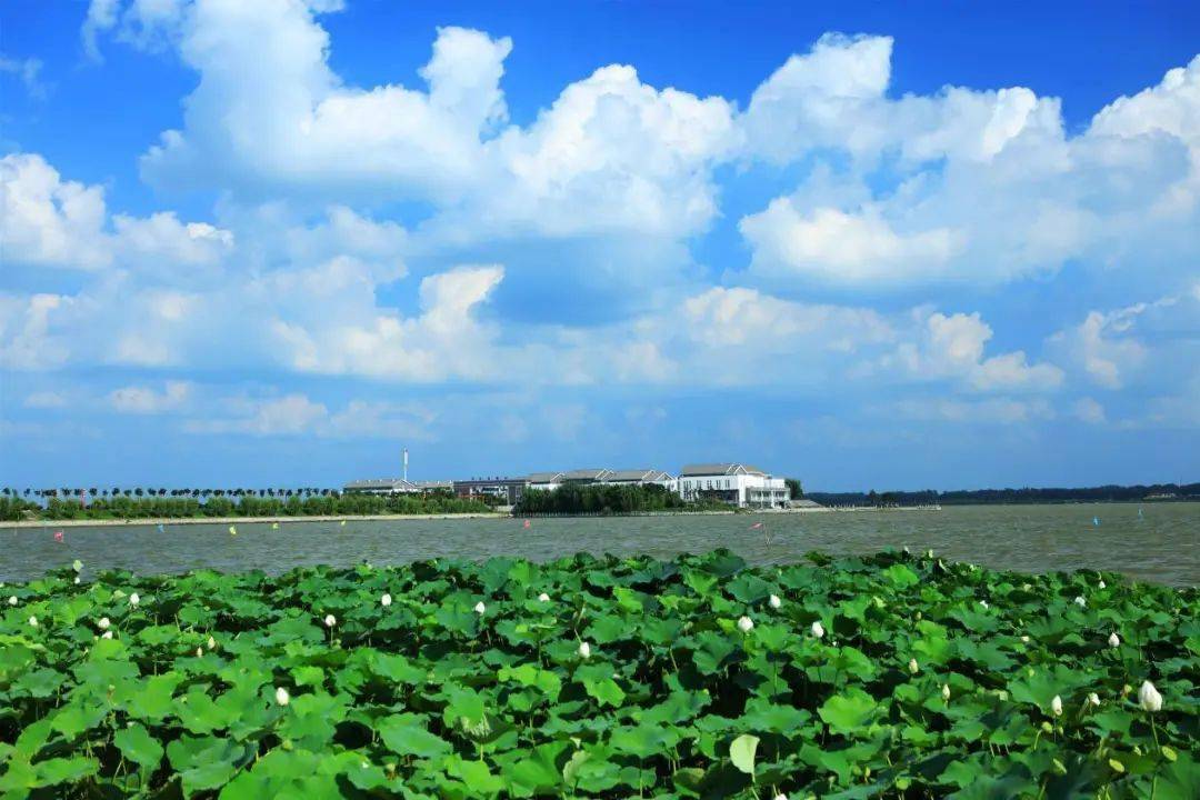 浮岗水库图片