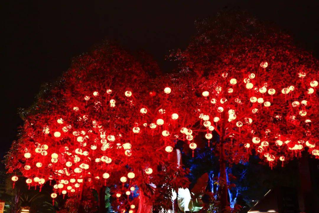 行摄云南花灯闹新春红火年味足