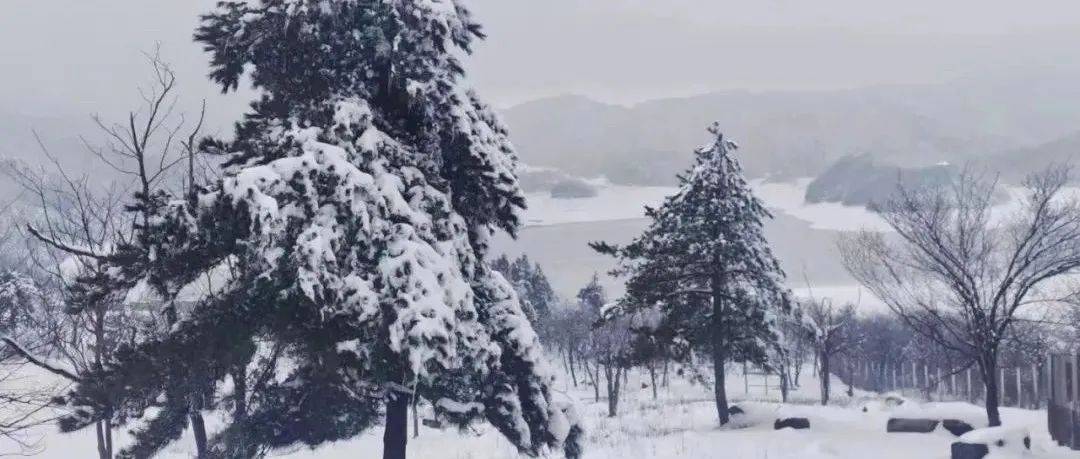 返程必看!虎年以来最大规模雨雪已在路上!_浙江_气温_天气