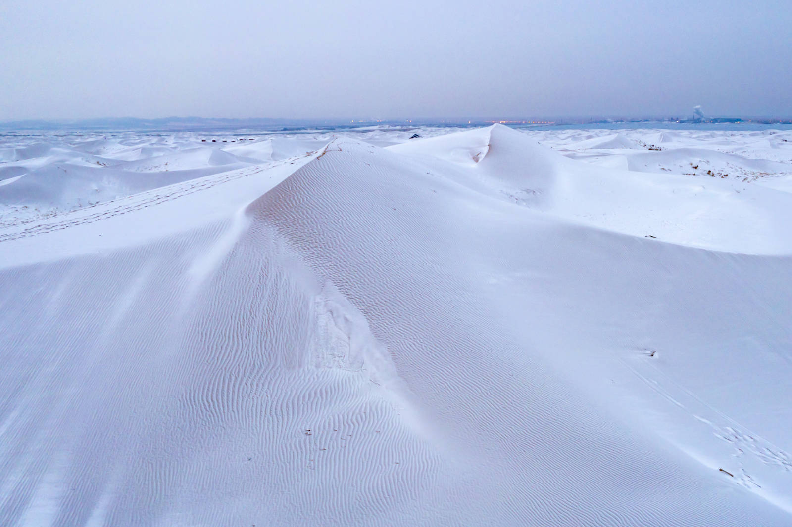 撒哈拉沙漠下雪了图片