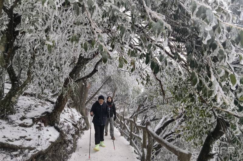 到来之际|年味浓 人气旺！武功山景区喜迎开门红