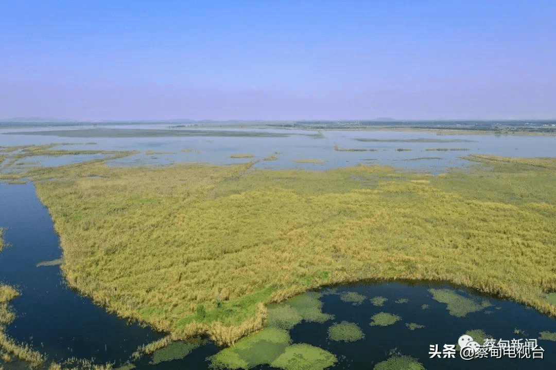 新春走基层 蔡甸沉湖湿地生态变迁绘就绿水青山新画卷_保护_发展