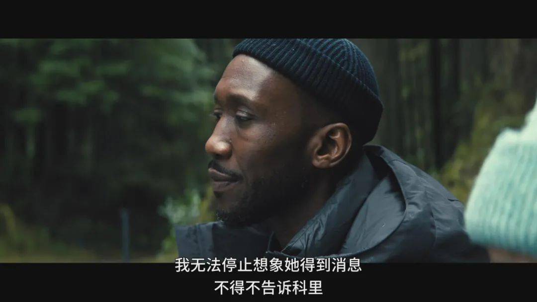 被低估的冷门佳片，我不敢再看第二遍