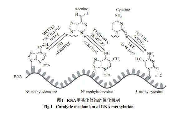 稳定性是化学性质吗 02e30dc90e6944929f06af1c905f277e.jpeg
