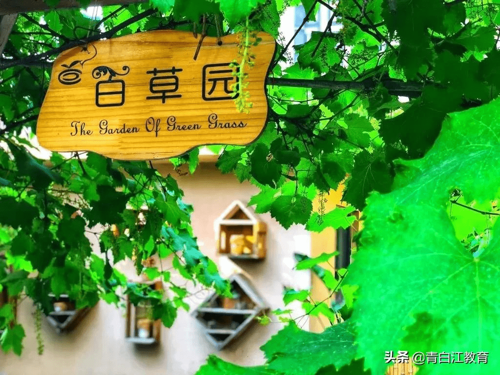 成都市|实名骄傲！青白江喜提6所市一级幼儿园！