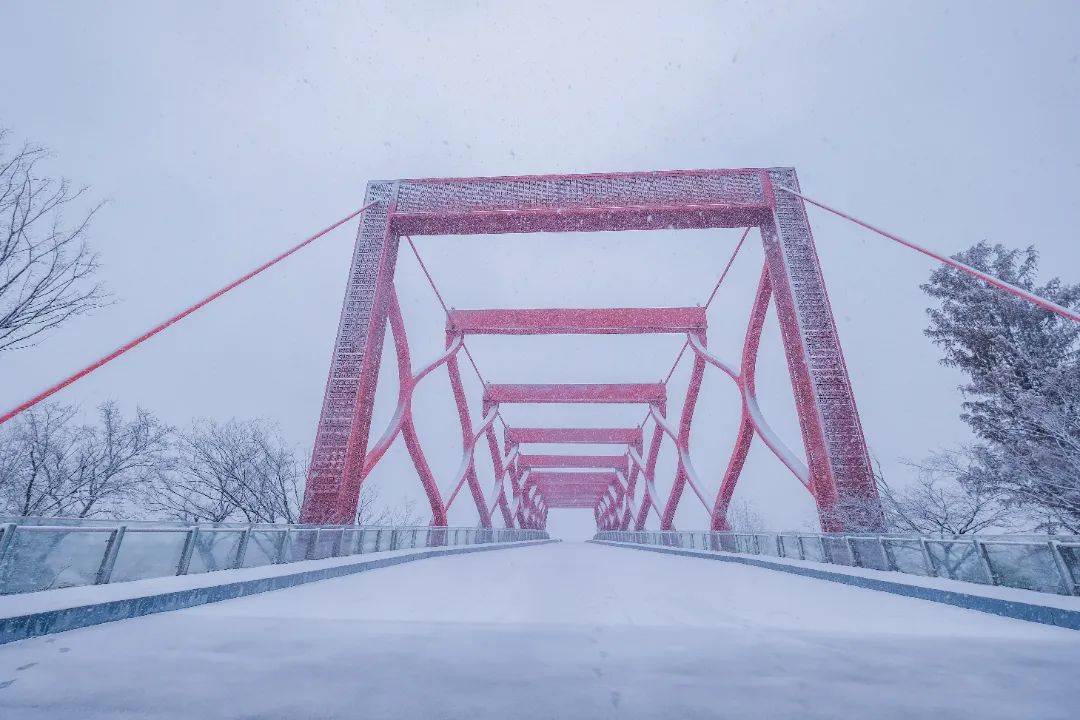 眼睛|美了！美了！扬州人盼了一周的大雪，终于到货！将持续至……