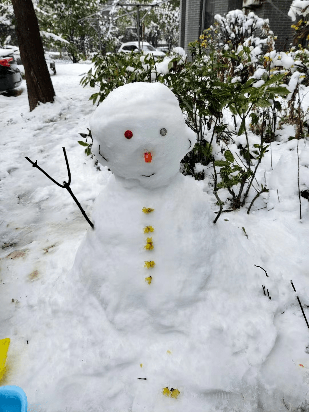 池州堆雪人大赛开始 你觉得啥样的最好看?今天你堆了吗?