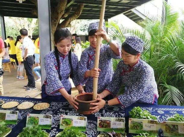 陆河擂茶在博大精湛的茶文化艺苑中客家擂茶以其古朴奇趣闻名遐迩