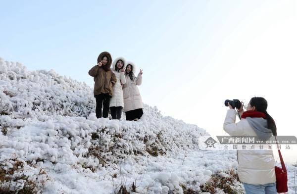 新闻网|广西这个地方现绝美雪景 宛如童话世界