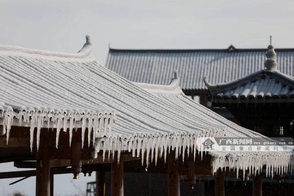 新闻网|广西这个地方现绝美雪景 宛如童话世界