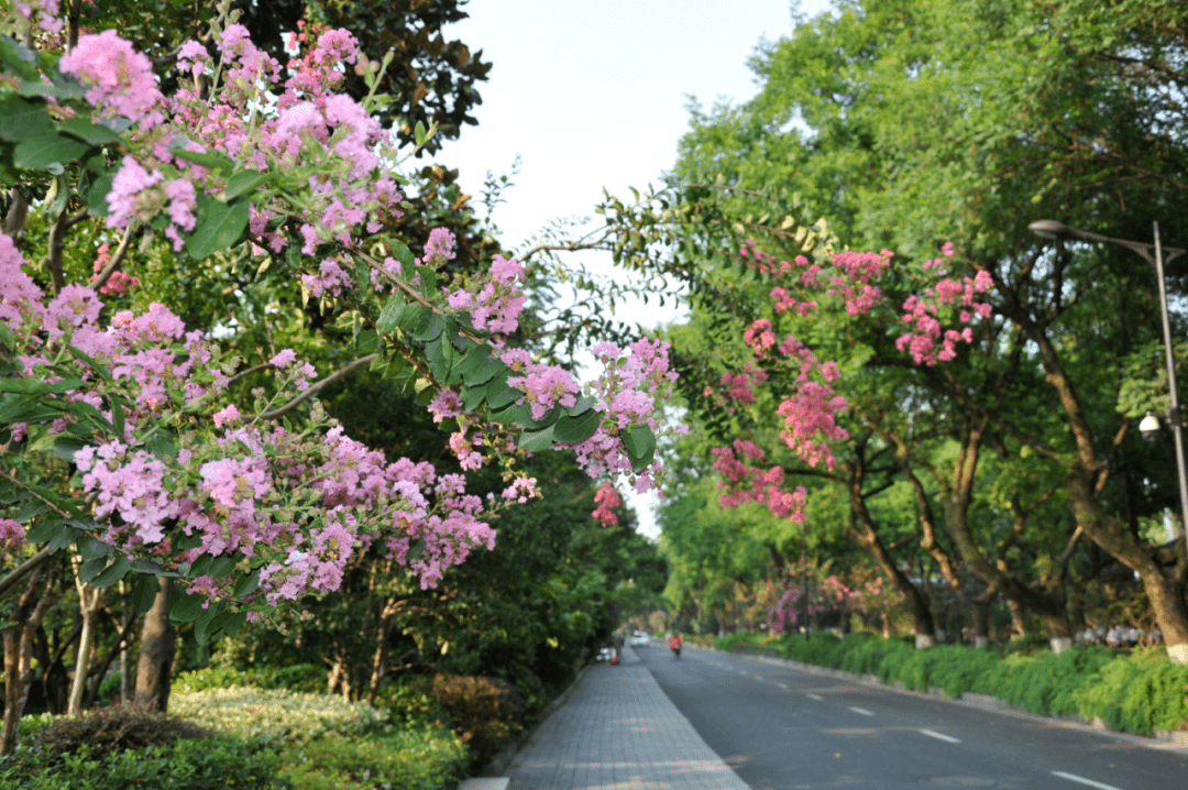 玉皇山路长约1.4公里,南至玉皇山交通隧道,北至南山路.