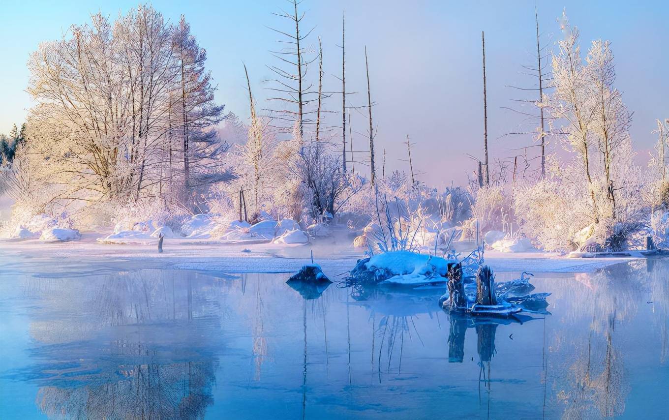 零下的仙境霧凇島江堤雪柳玉樹瓊花此生必看的絕世美景