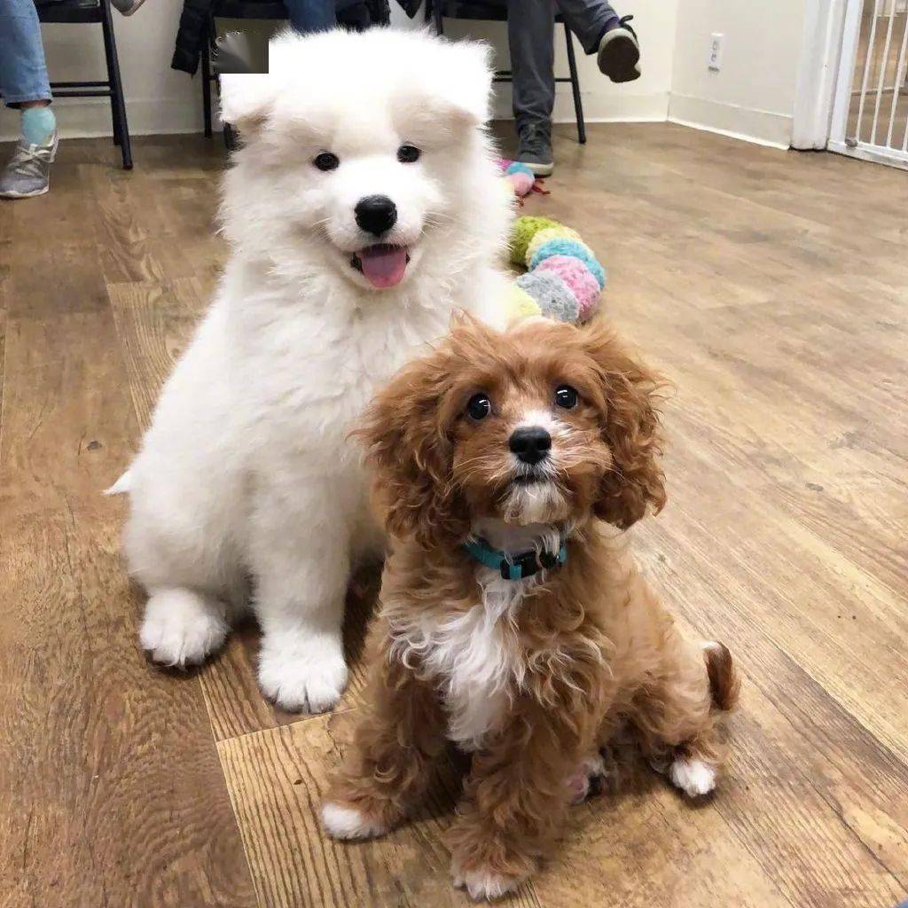 这也太可爱了吧!_日托_所里_配饰