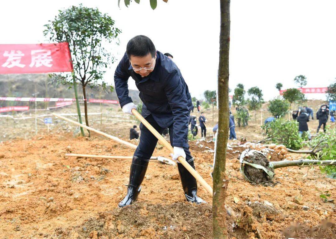 2022年遵义市义务植树活动举行_绿化_黄伟_生态