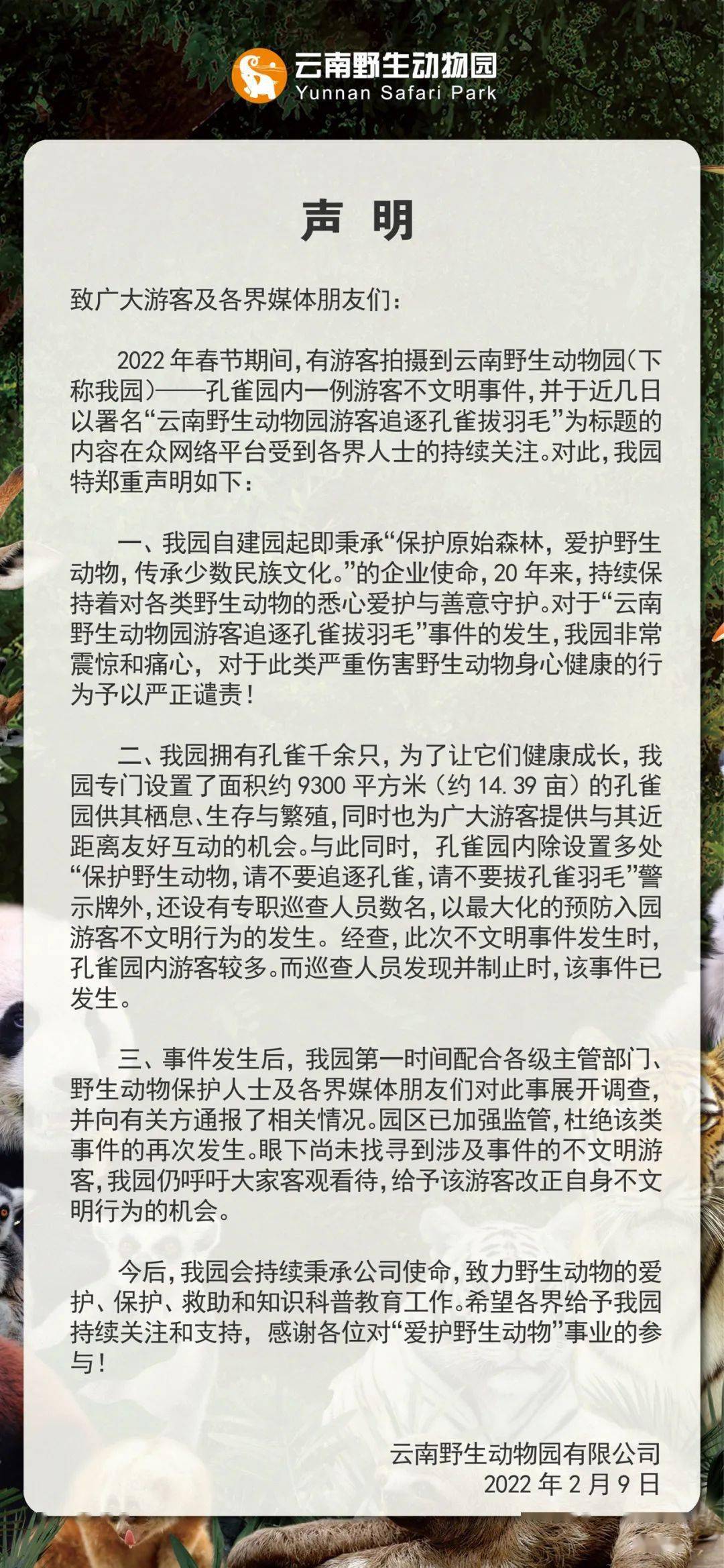 011210b71ff04677a22cf07cc1f96de7.jpeg