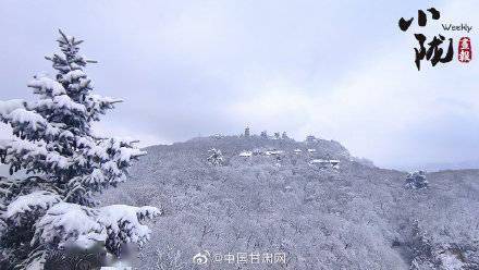 银枝|甘肃平凉：雪压枝头白絮飞 玉树银枝惹人醉