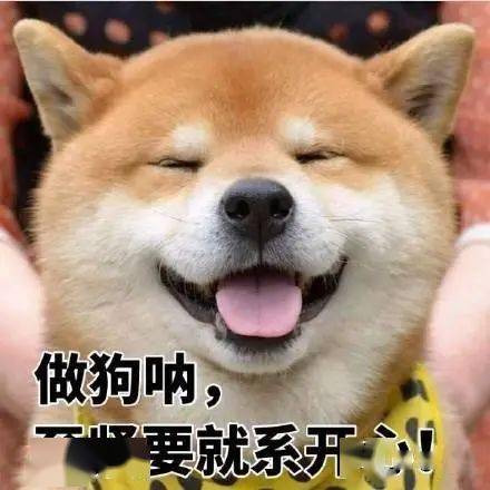 99656c3b02e240f2be61d540cb00ec7d.jpeg