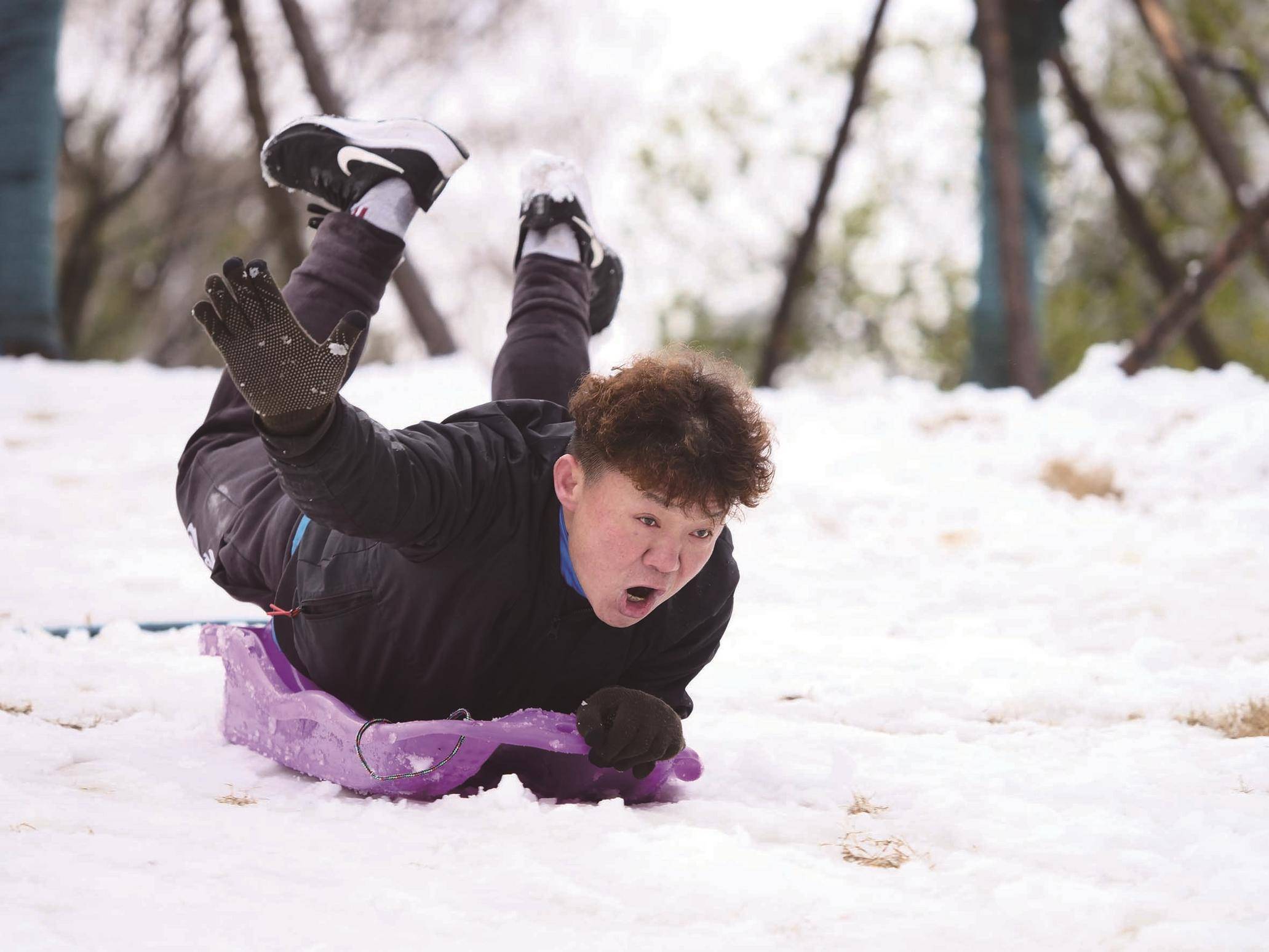 瑞雪|虎年瑞雪送欢乐