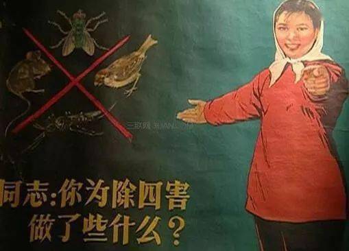 春季防鼠灭鼠让我们行动起来吧