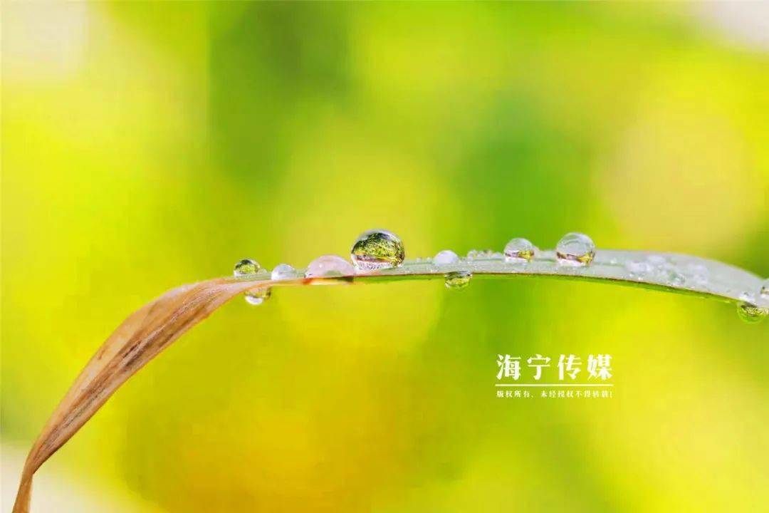 f696ab772c5e455fa36163fc5ac59282.jpeg