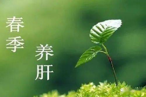 万物生发立春养肝正当时