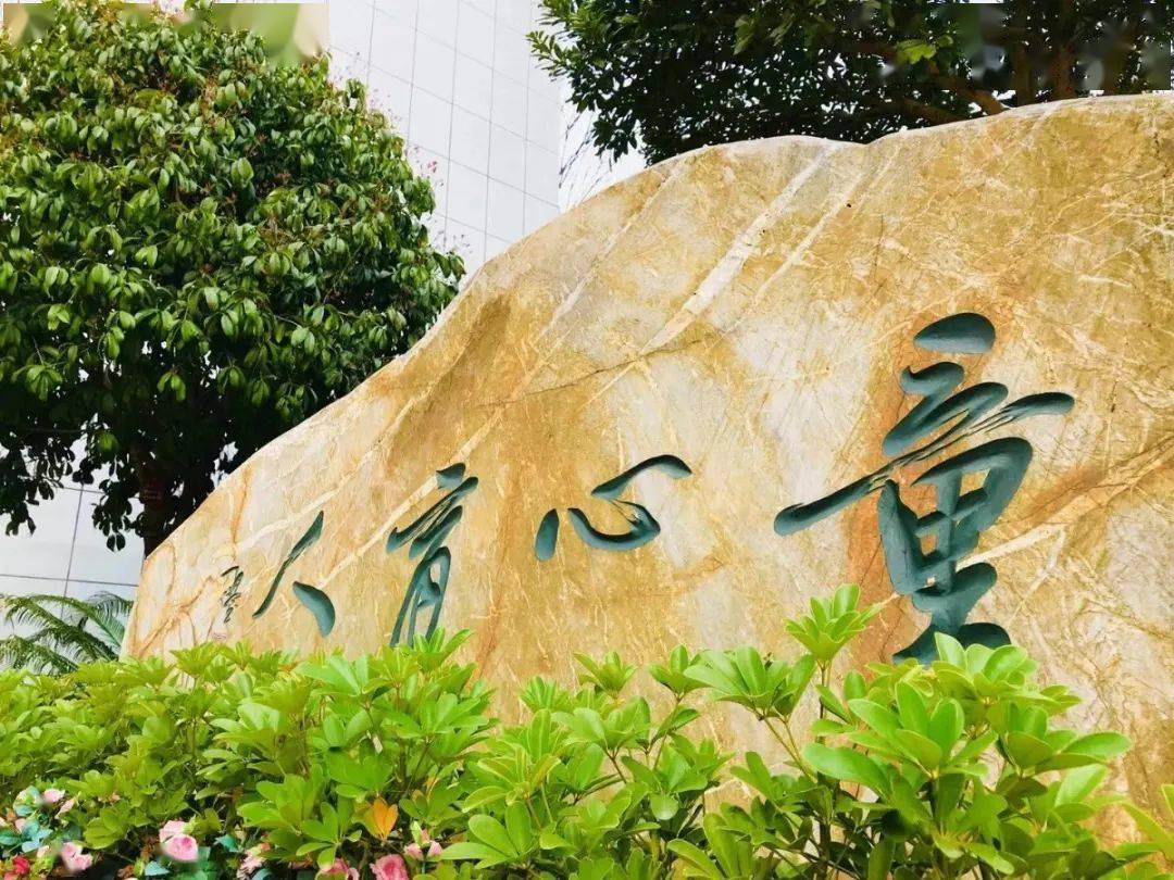 雨花区枫树山大桥小学图片