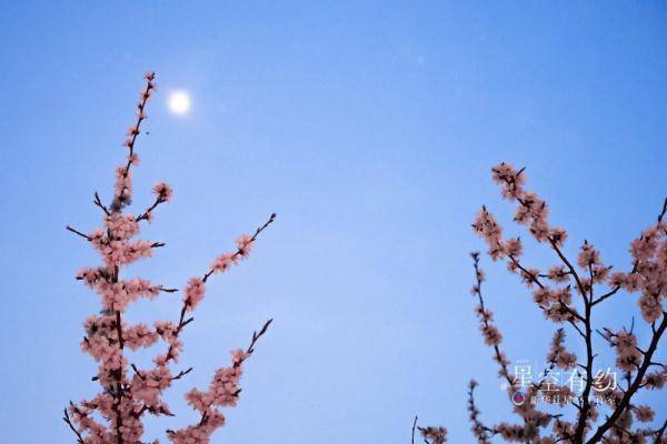 星空有约丨一起去看晨曦中最亮的星，约吗？