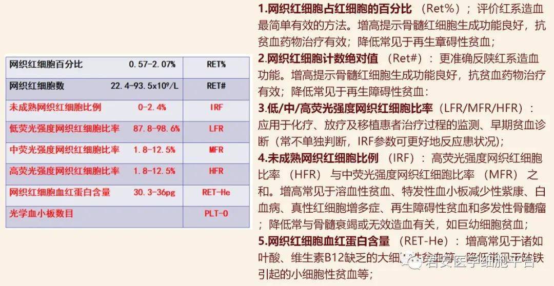 网织红细胞及临床应用