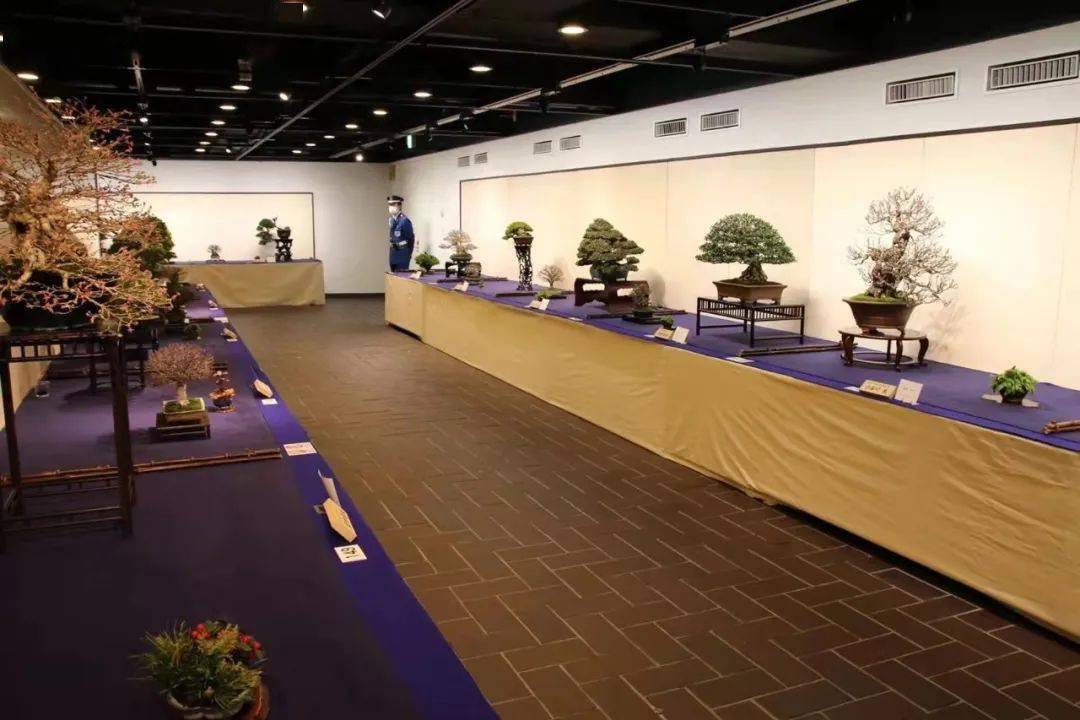 2022日本第九十六届国风展正在东京举行