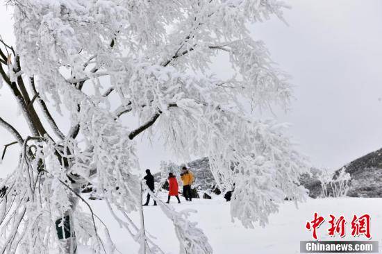 酉阳|重庆酉阳现雪凇云海似仙境