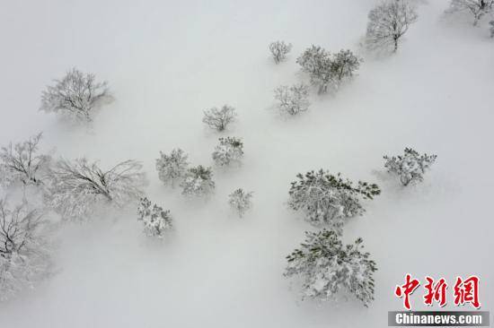 酉阳|重庆酉阳现雪凇云海似仙境