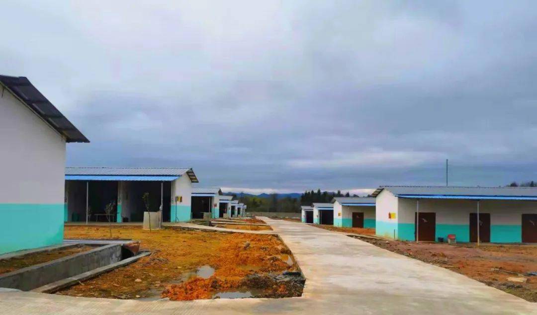 万载花炮企业巡礼——东升花炮_生产_产品_标准化