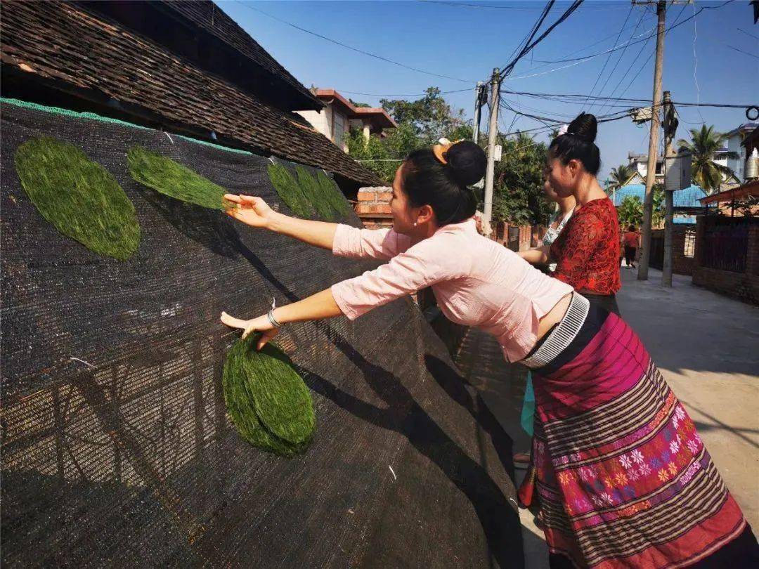 大自然的馈赠青苔