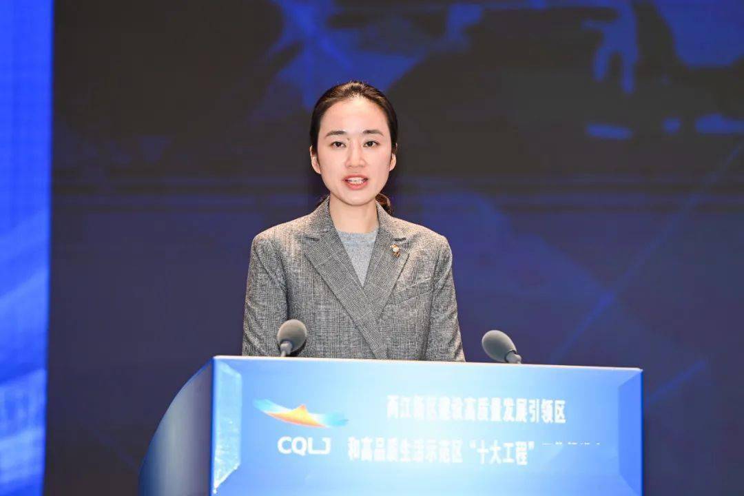 虎虎生威赴新程虎力全开展宏图两江新区两高两区十大