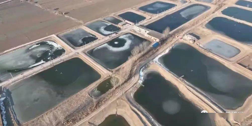 中水渔业(000798.SZ)市场热度飙升的驱动因素与分析