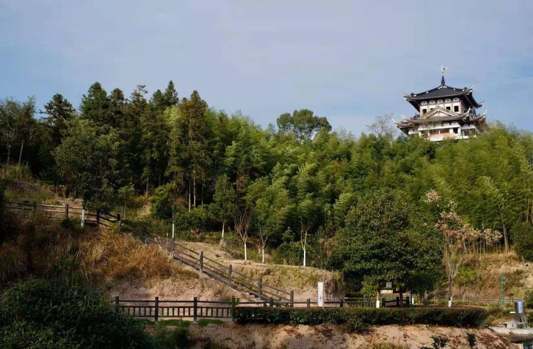 泰順這個公園有大變化