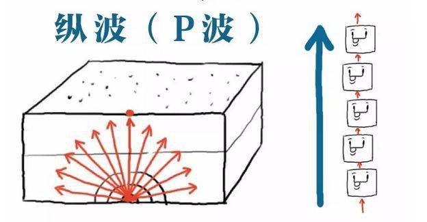 玩转地理什么是地震波关于地震的知识合集
