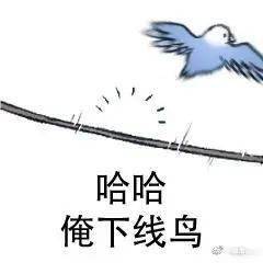 谐音梗表情包:太可爱鸟_wine_the_flies
