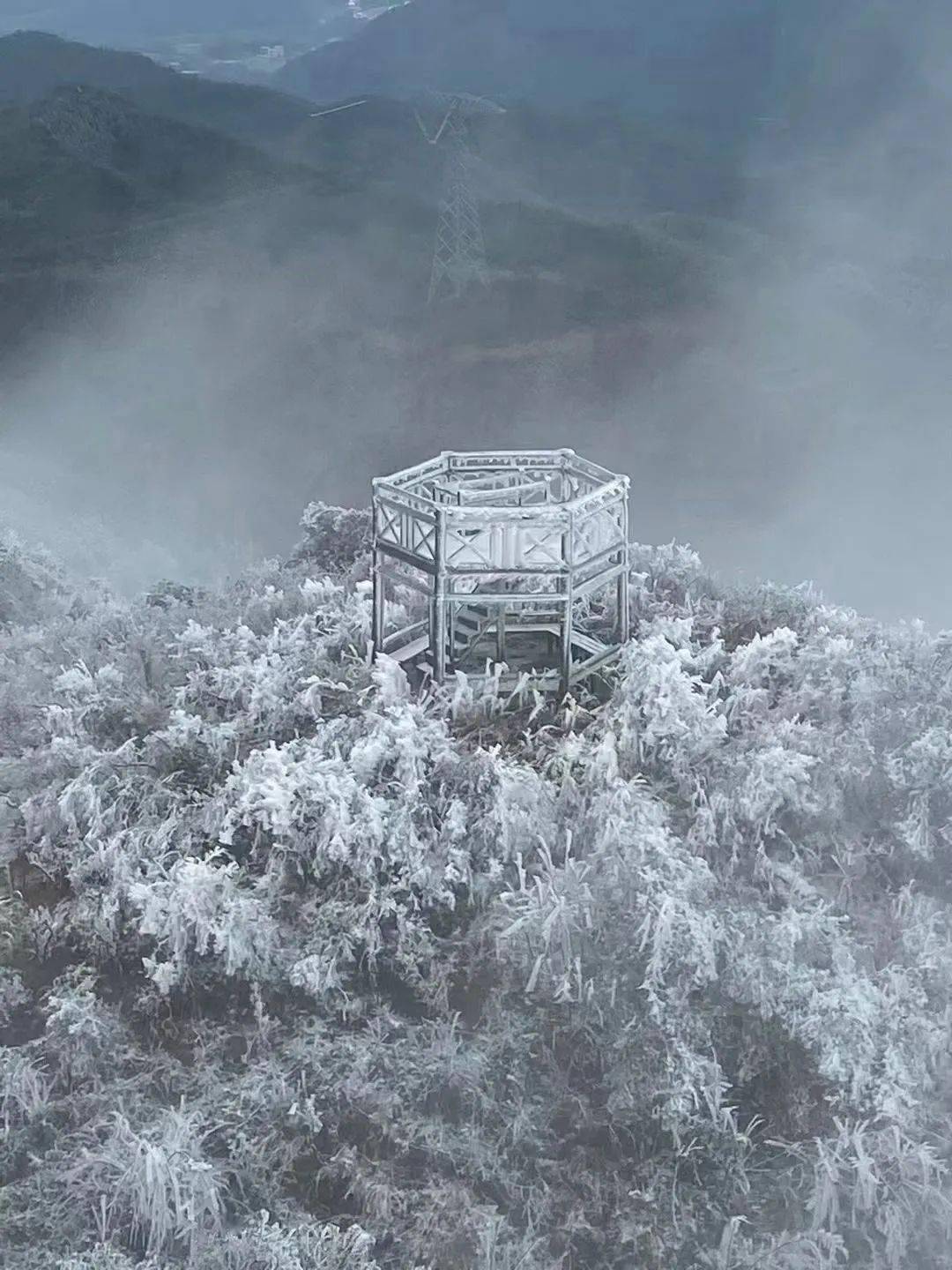 白竺青草湖雪景图片