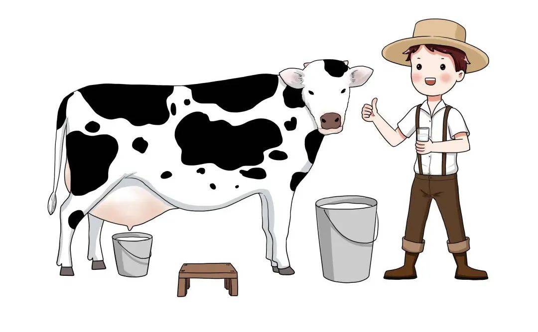 饮品|牛奶天天喝，可你真的会挑吗？来看专家的“选奶攻略”