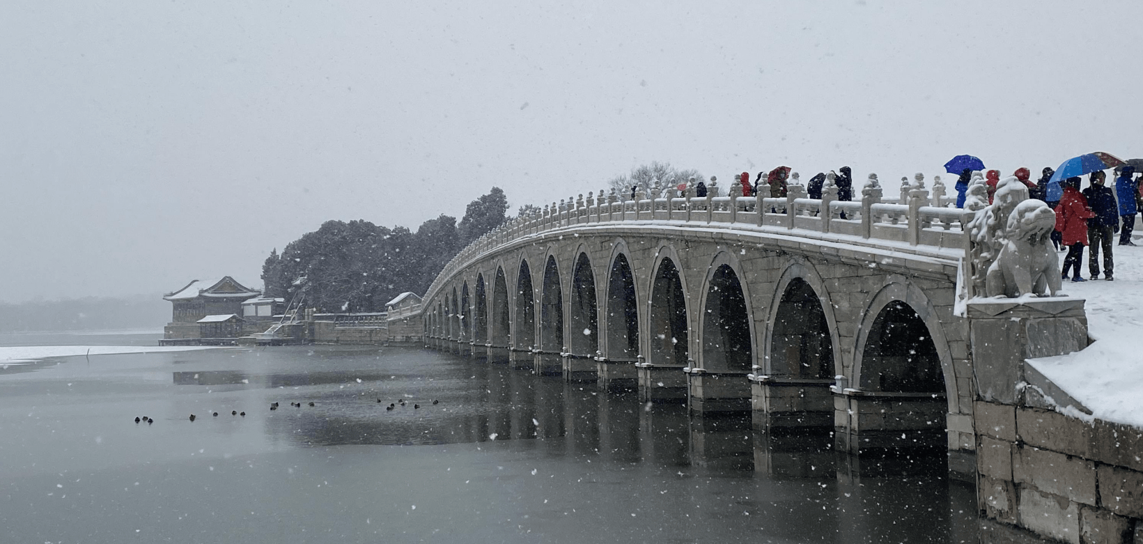 白雪|红灯映白雪，秒变“雪容融”！京城公园已吸引7万人次打卡