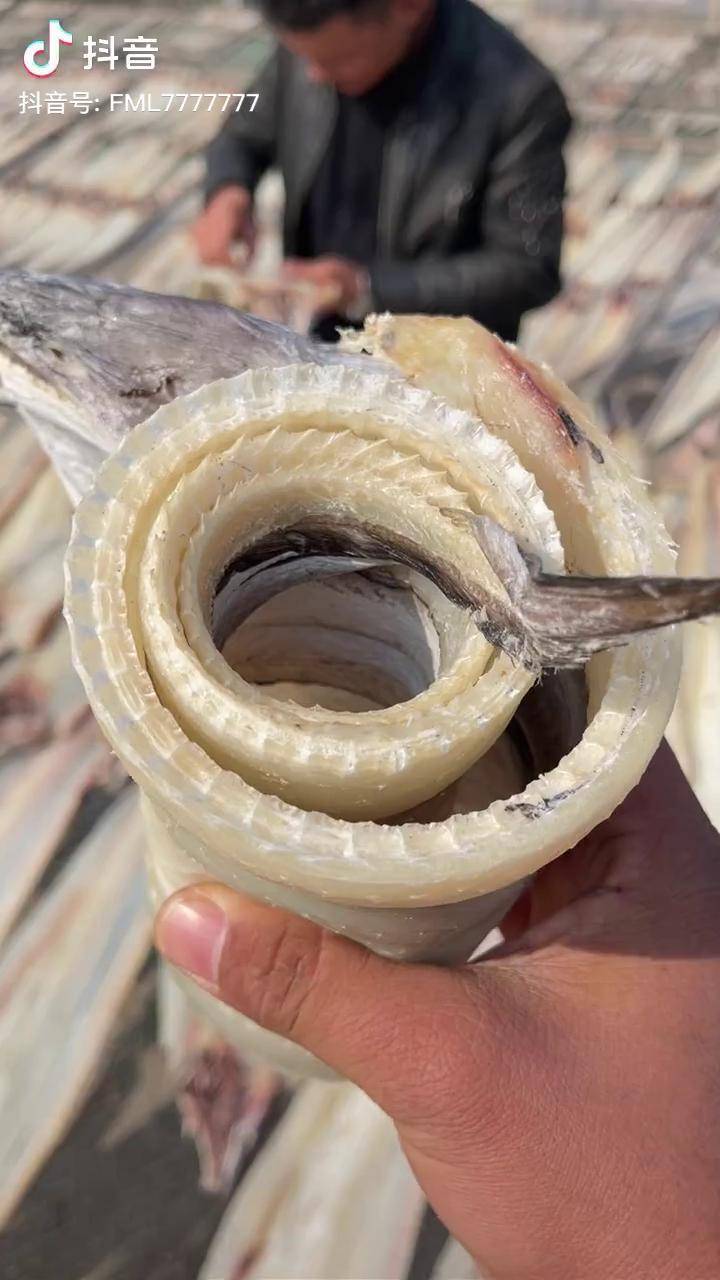 海鲜原产地渔民日常天然海鲜海捕鳗鱼七成干五斤发货